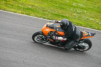 Lower Group Orange Bikes